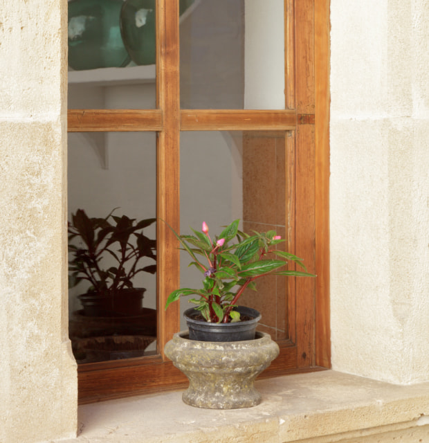 Image of the outdoor terrace of the accommodation Can Tem in Alcúdia