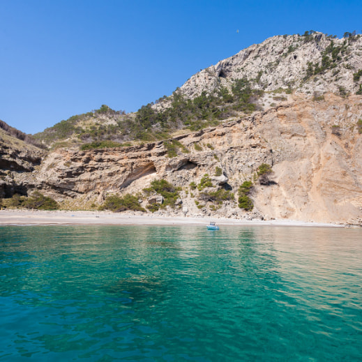 Coll Baix beach in Alcúdia